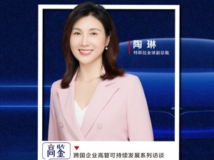 专访特斯拉全球副总裁陶琳：孤军深入的领先不如行业共荣