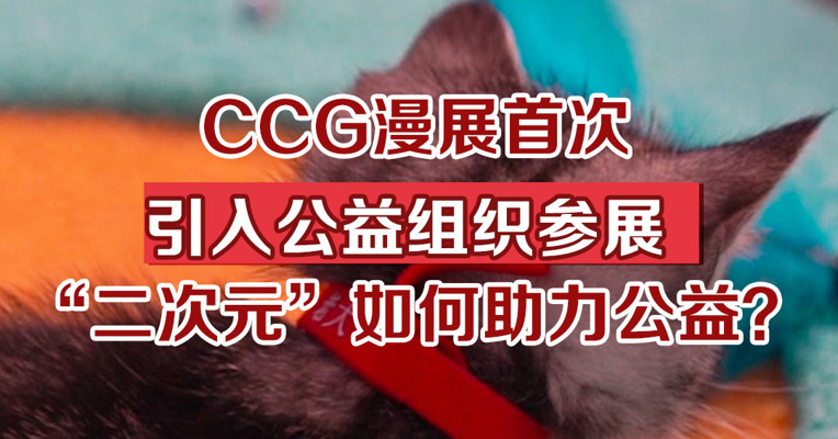 CCG漫展首次引入公益组织参展，“二次元”如何助力公益？