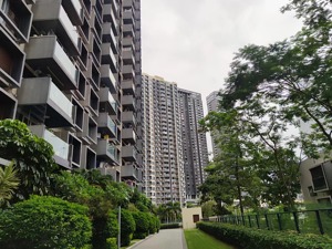 超5万人围观，两套房拍出上亿元！深圳法拍豪宅也“遭抢”  专家：“捡漏”也要谨防风险