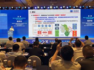 中国工程院院士陈学东：建议培育重大技术装备产业集群，推进产业链企业协同发展
