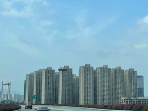 中央定调适时调整优化房地产政策