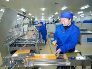 中药传承创新驶入快车道 上半年新药临床申请创新高