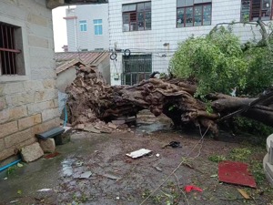 严阵以待！15级台风“杜苏芮”正面袭来 福建上市公司采取多种措施应对