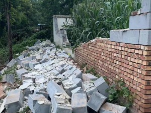 如何打开地震预警功能？不同手机型号方式汇总→