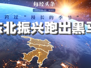 跨过“漫长的季节” 东北振兴跑出“黑马”