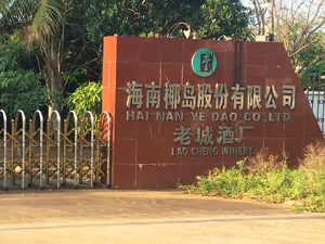 公司快评 | 海南椰岛连遭上交所和海南证监局警示，信披问题频出，上市公司还能这么玩吗？