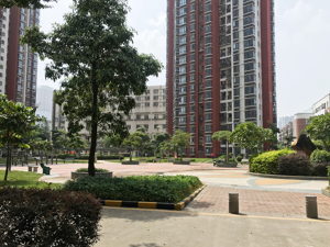 绿城服务董事会主席杨掌法：“带资进场”属于低端市场竞争模式