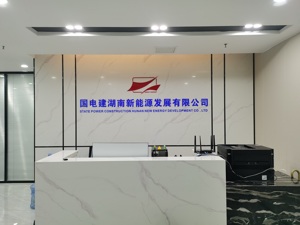 追踪｜顶风“作案”？假国企被曝光后，旗下公司又宣布巨额投资   “手握”近600亿项目能否兑现