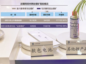 报价11307次，42亿! 加达锂矿探矿权“争夺战”尘埃落定