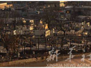 专题 | 夏威夷毛伊岛大火：死亡人数上升至99人，约1300人失踪！这场大火为何救援如此困难？