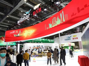 中报出股价跌 金龙鱼独家回应：现有投资计划就是基于对中国长远的信心