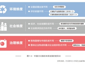 报告解读 | 中国特色“1+1”ESG框架逐步成型，纳入“乡村振兴”等特色指标