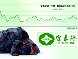 双方继续履行合同 赛鼎公司解决设计缺陷