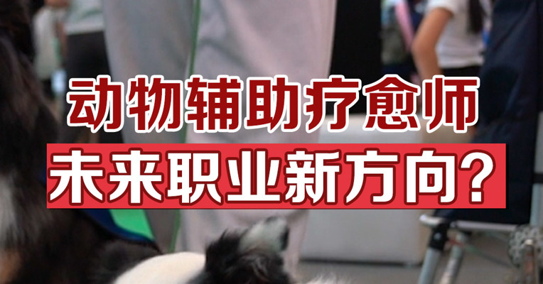 动物辅助疗愈师，未来职业新方向？