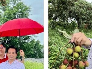 知名企业家李兴浩被公安机关控制  退出志高空调经营后，他做了什么