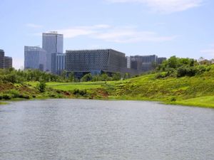 四川天府新区智慧人才服务平台正式上线