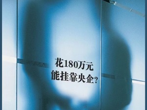 “花180万元就能挂靠央企”“被打假可平移到其他国企”…揭秘“假国企制造链”！为何只打假不查封？