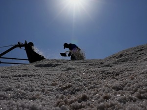 中国有多少个“盐都”？