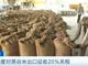 Horqsrpchh1693092951689.thumb_hs