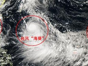 停课、停工、停产、停运、停业！广州宣布“五停”指引！深圳登上热搜第一！不登陆比登陆还可怕？“海葵”虎视眈眈……