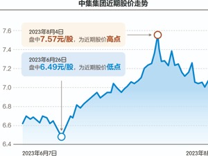 中集集团上半年营收下降16%