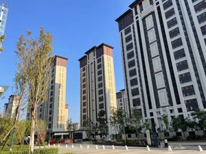 北京“认房不认贷”政策显效：有楼盘认购超300套，开发商表示“根本不可能涨价”