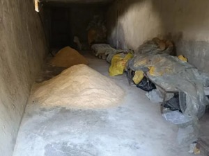 这家动物园即将断粮，饲养员半年没发工资，小熊崽要吃奶，母马在待产！网友急了，官方回应……