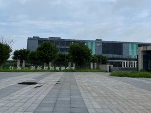 合力泰危机：78个账户被冻结后，旗下有子公司被指停产 股权转让仍悬而未决