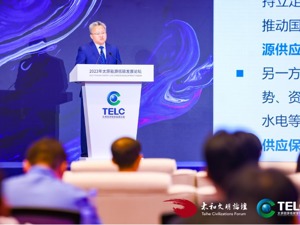 中国石油集团经济技术研究院院长陆如泉：能源合作天然具有多边主义的特点
