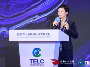 瑞格智研创始人陆培丽：ESG的重大目标是把数字经济和有人民满意度的ESG结合起来