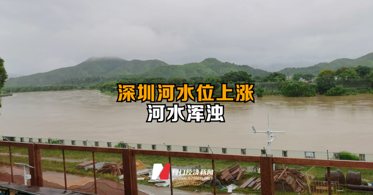 深圳河水位上涨，河水浑浊