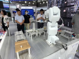 新华全媒+｜数博会上智能机器人“秀”本领