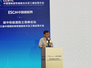 南方科技大学碳中和能源研究院院长赵天寿：突破流体电池技术瓶颈，是抢抓储能产业的一个关键点