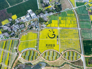 普惠金融服务乡村振兴改革试验区怎么建？成都亮出“施工图”