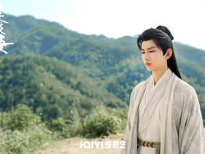 448元年卡有人充了十年？《莲花楼》售后演唱会能为爱奇艺三季报注入多少收入？