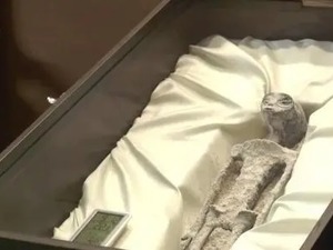 墨西哥天体生物学家驳斥“外星人干尸”：荒谬可耻，他有造假前科！