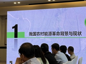 农村仅屋顶户用光伏就有20亿千瓦装机潜力！专家称须做好就地消纳，更好实现县域能源革命和低碳转型