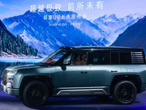 比亚迪百万级产品仰望U8上市 年内计划开设超90家直营门店