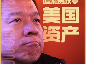追索贾跃亭海外资产