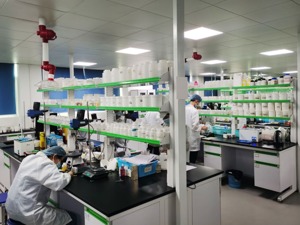 新材料领域风起云涌：聚焦重点品种，多家上市公司投入研发
