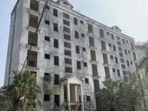 每套不到100万，广州“最大烂尾楼”项目澳洲山庄二拍仍无人问津