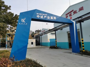 共建“一带一路” 成都创新实践丨成都青白江打造面向“一带一路”的中试产业基地