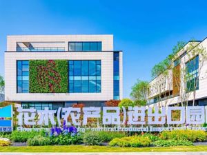 共建“一带一路” 成都创新实践丨成都温江打造花木（农产品）进出口园区 让温江花木“花”开全球