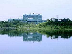 共建“一带一路” 成都创新实践丨突破“世界级难度” 四川天府新区企业助力雅万高铁建成通车