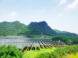 海泰新能拟将50亿光伏项目地从盐城改为滁州 称因土地供应存在问题