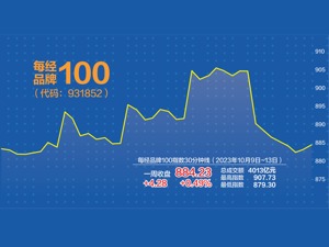 汇金入场发出见底信号 每经品牌100指数率先反弹