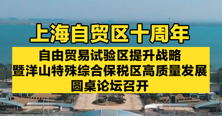 上海自贸区十周年，自由贸易试验区提升战略暨洋山特殊综合保税区高质量发展圆桌论坛召开