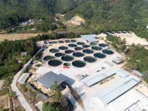 上市公司在行动 | 广晟有色：聚焦服务国家战略，建设高质量稀土产业生态圈