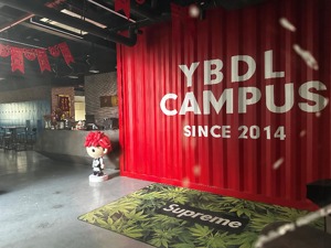 曾签约艾弗森，明星青少年篮球培训机构YBDL“爆雷”：总部空无一人，有员工社保断缴13个月