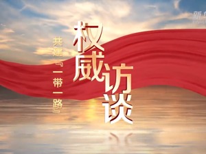 共建“一带一路”·权威访谈｜着力推进高质量共建“一带一路”——专访国家发展改革委副主任丛亮